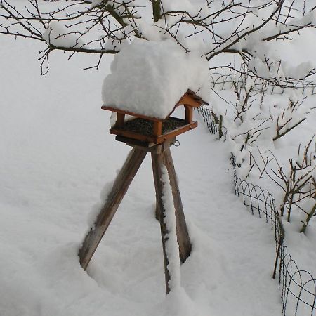 Fewo Talula - Sauerland Mit Hund Medebach Bagian luar foto