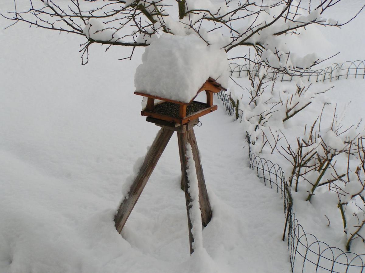 Fewo Talula - Sauerland Mit Hund Medebach Bagian luar foto