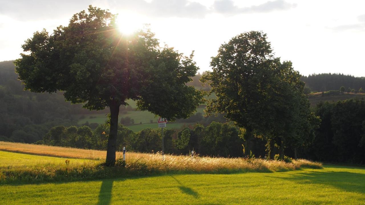 Fewo Talula - Sauerland Mit Hund Medebach Bagian luar foto