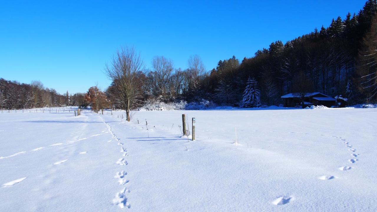 Fewo Talula - Sauerland Mit Hund Medebach Bagian luar foto