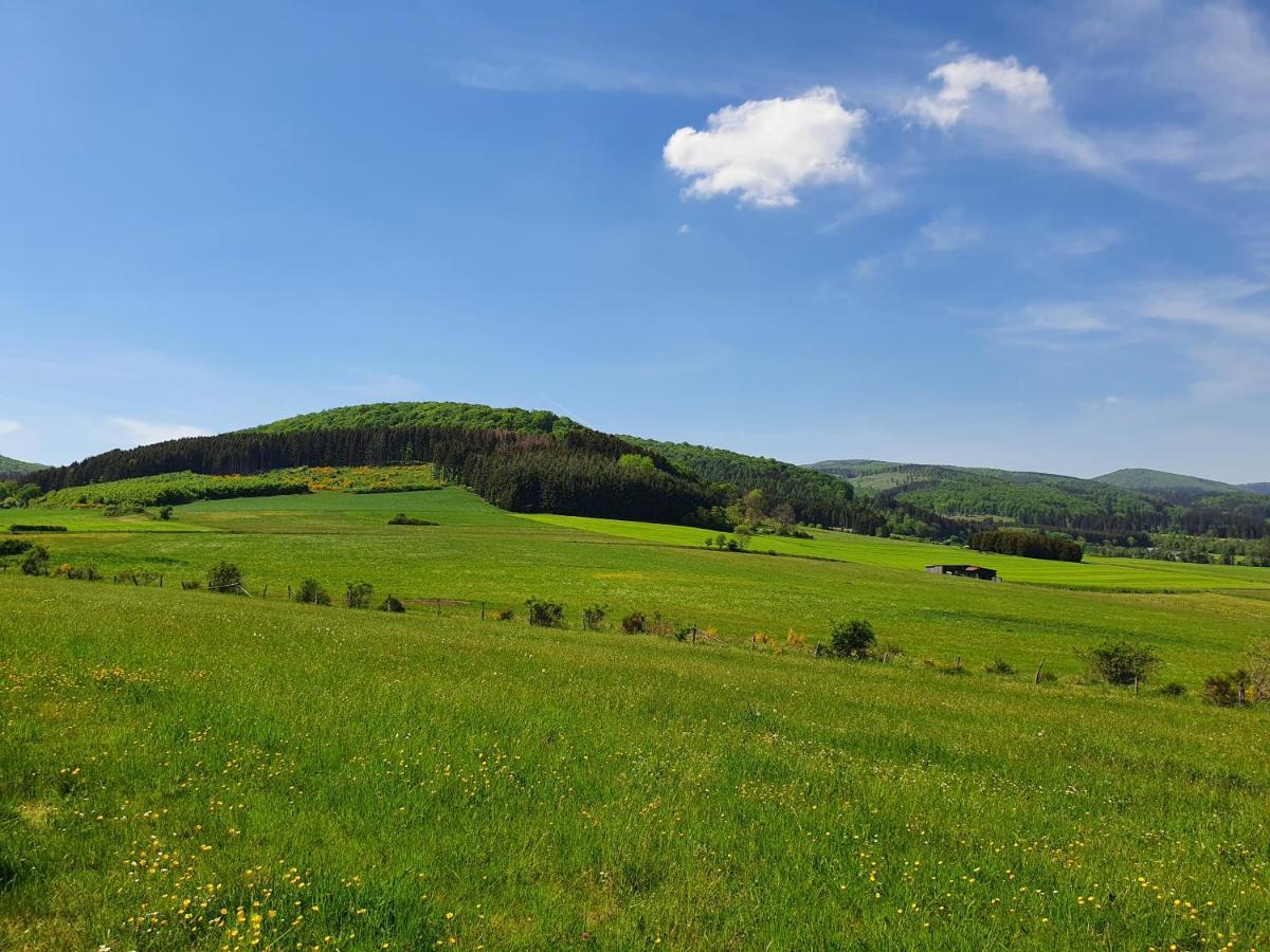 Fewo Talula - Sauerland Mit Hund Medebach Bagian luar foto