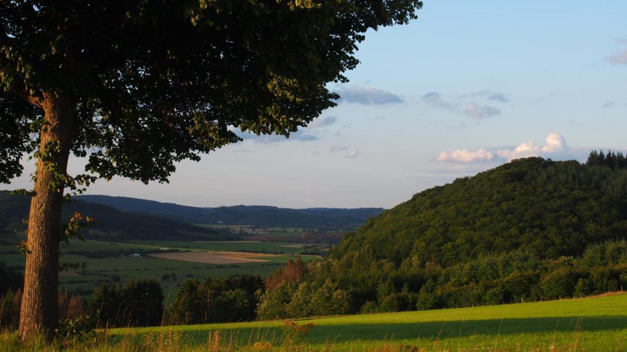 Fewo Talula - Sauerland Mit Hund Medebach Bagian luar foto
