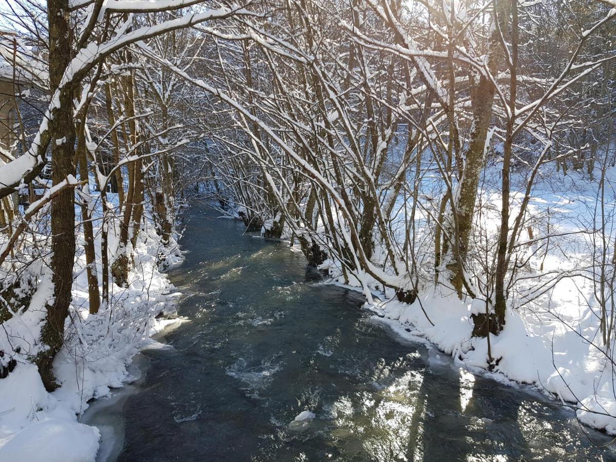 Fewo Talula - Sauerland Mit Hund Medebach Bagian luar foto