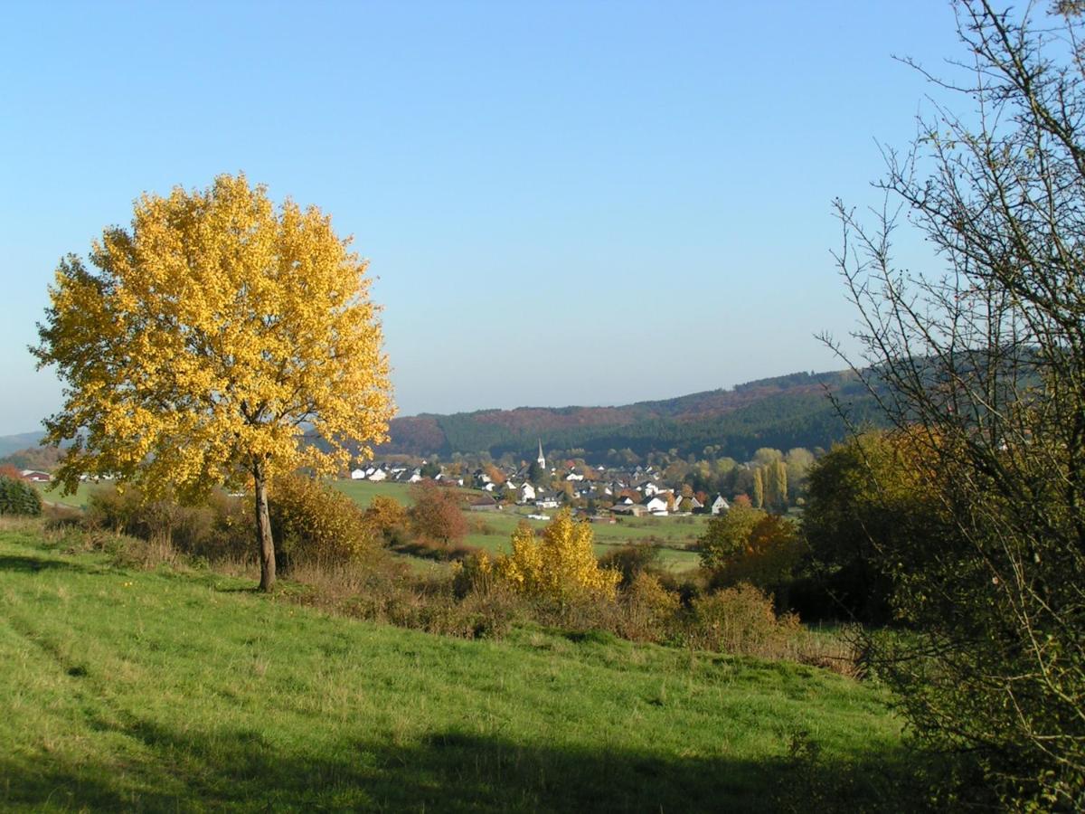 Fewo Talula - Sauerland Mit Hund Medebach Bagian luar foto